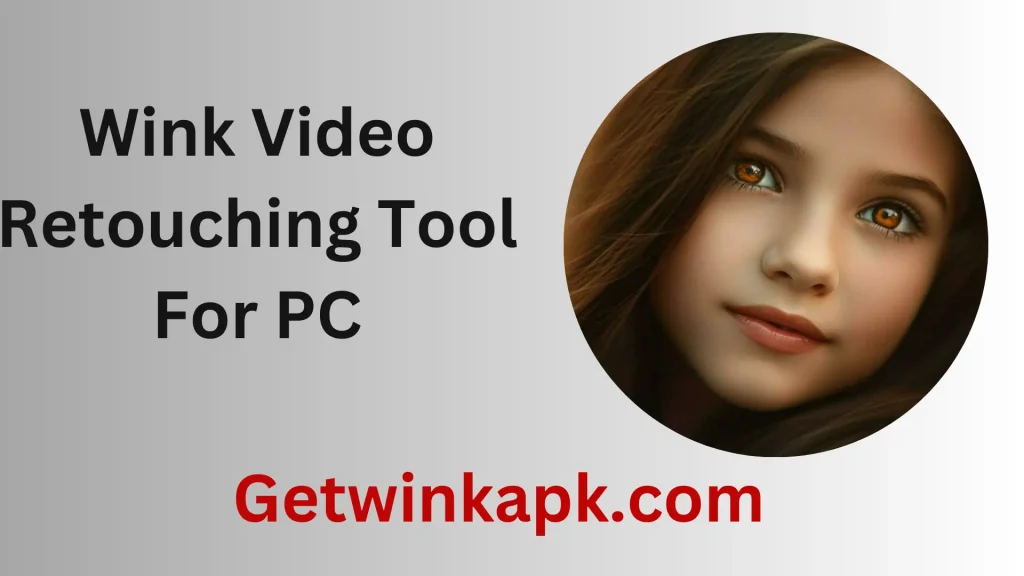 Wink Video Retouching Tool For PC